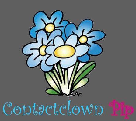 contactclown PiP
